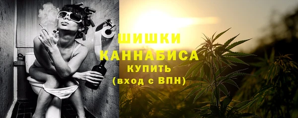 Альфа ПВП Ельня
