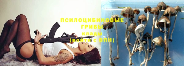 индика Балахна