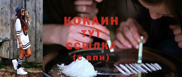 индика Балахна