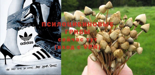 ешки Баксан