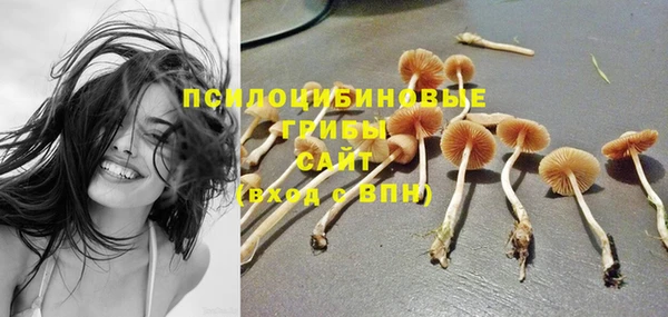 ALPHA PVP Аркадак