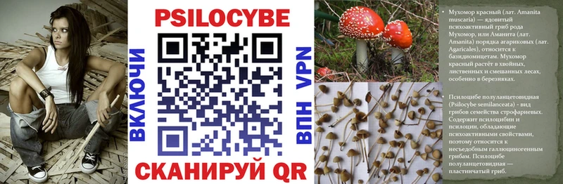 Галлюциногенные грибы Cubensis  OMG как зайти  Нязепетровск 
